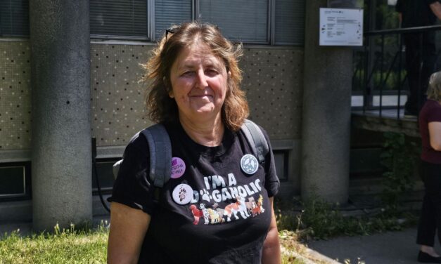 Igazságot Andreának! – Tüntetés a bajmoki iskolánál