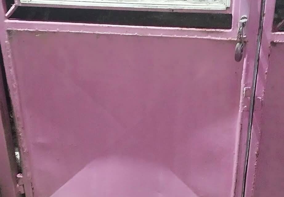 VMDK: Elítéljük a Jelena Ljuboja elleni támadást