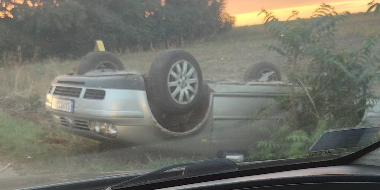 Felborult egy autó Zentagunaras és Topolya között