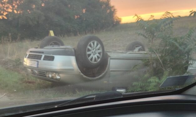 Felborult egy autó Zentagunaras és Topolya között