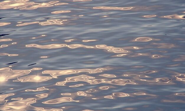 A Tiszába zuhant egy autó – búvárok keresik a sofőrt