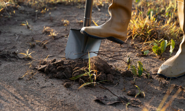 Rendőr is segítette a vračari klánt, a sírgödröt ásta, amikor rajtakapták