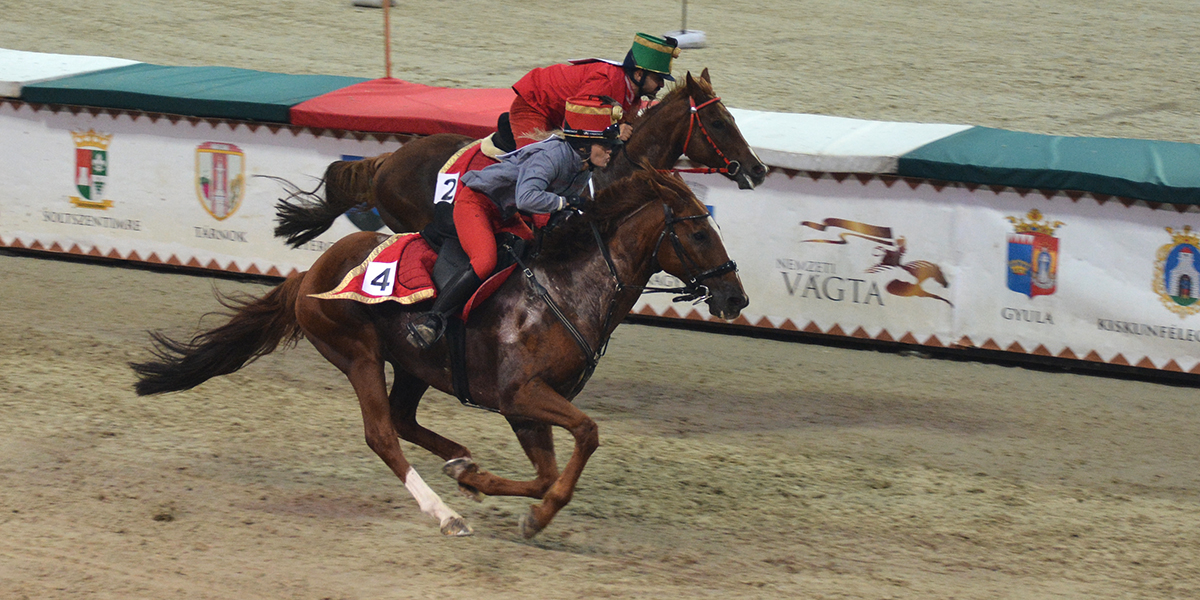 <span class="entry-title-primary">Ma rendezik a Nemzeti Vágta döntőjét Szilvásváradon</span> <span class="entry-subtitle">Vajdaságnak még lehet esélye</span>