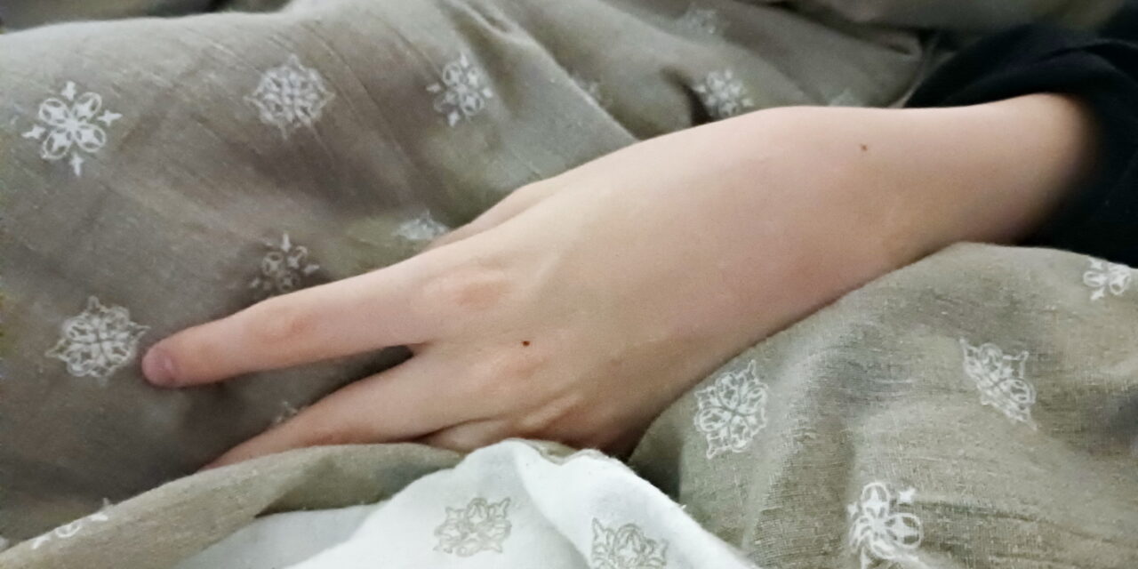 <span class="entry-title-primary">Nem kapnak ápolói státuszt a beteg gyermeküket 24 órában gondozó szülők</span> <span class="entry-subtitle">Szerbia így „ünnepelte meg" a cerebrális parézis világnapját</span>