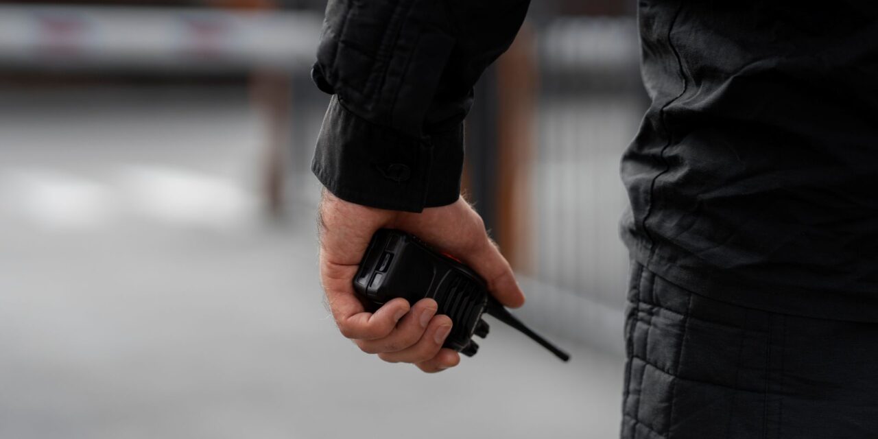 VMDK: Vajon Vučić elnök tudja, mit csinálnak a testőrei?