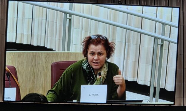 Vicsek szerint az EU-nak nincs joga beavatkozni Szerbia belügyeibe