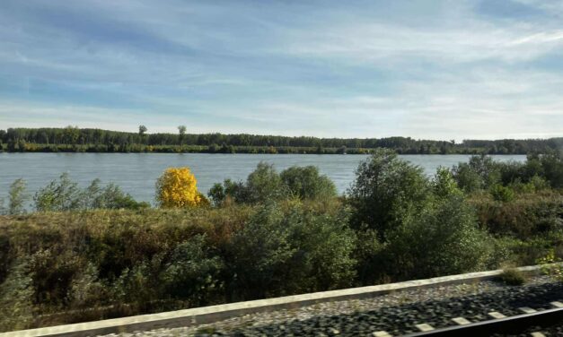 A foghíjas menetrend