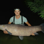 Ember méretű fekete amurt fogott egy horgász