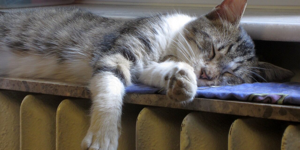 Ez az ideális hőmérséklet az otthonunkban