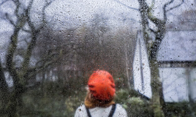 Nagyon enyhe lesz december első fele