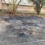 Szabadkai ügyésznő: Aggódom a saját és a családom biztonságáért